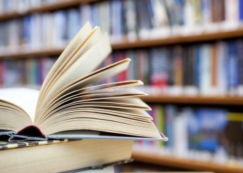 Literary Fiction Through a Different Perspective – Hussein Al-Daw