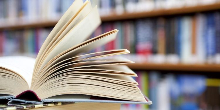 Literary Fiction Through a Different Perspective – Hussein Al-Daw