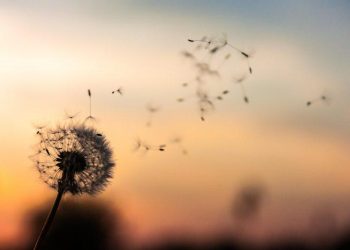 Philosophy and The Good Life – Buthaina Al-Muayqil