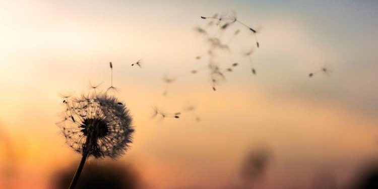 Philosophy and The Good Life – Buthaina Al-Muayqil